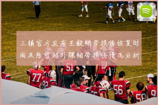 三镇官方发布王毅韧带损伤恢复时间及陈哲超外踝韧带损伤情况分析